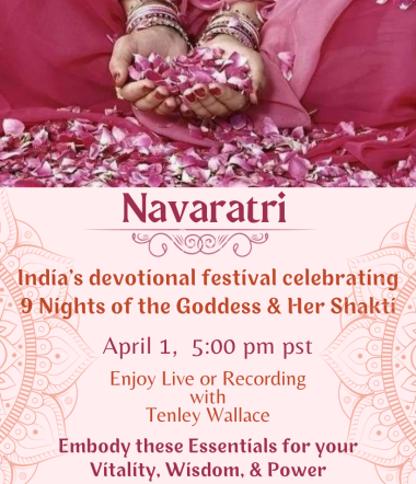 Navaratri Navratri Spring 2025